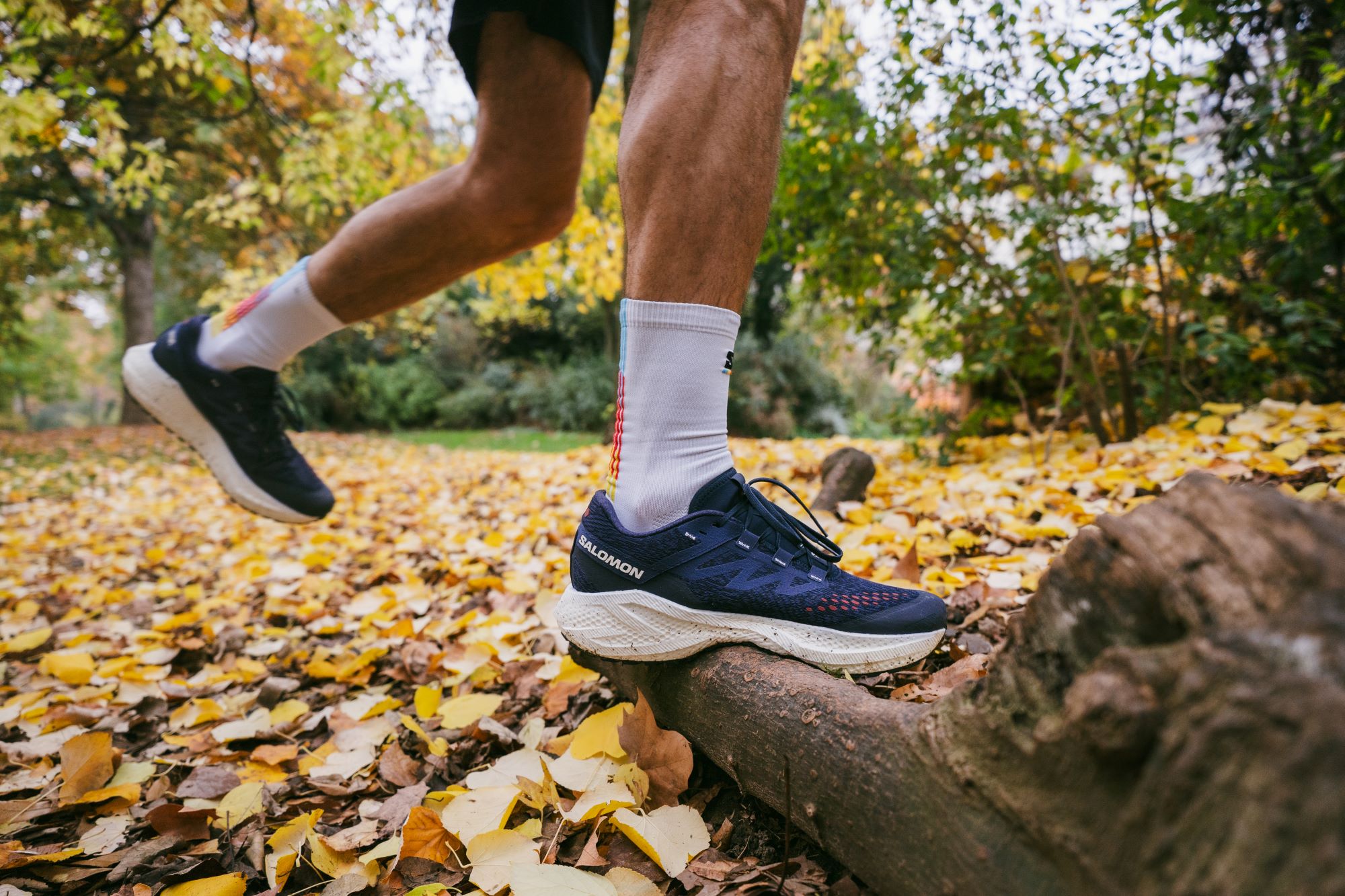 Salomon Aero Glide 3 GRVL: Comfort for road and gravel running